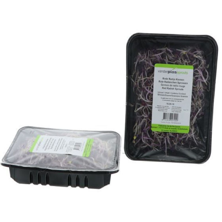 GERME DE RADIS ROUGE 85G